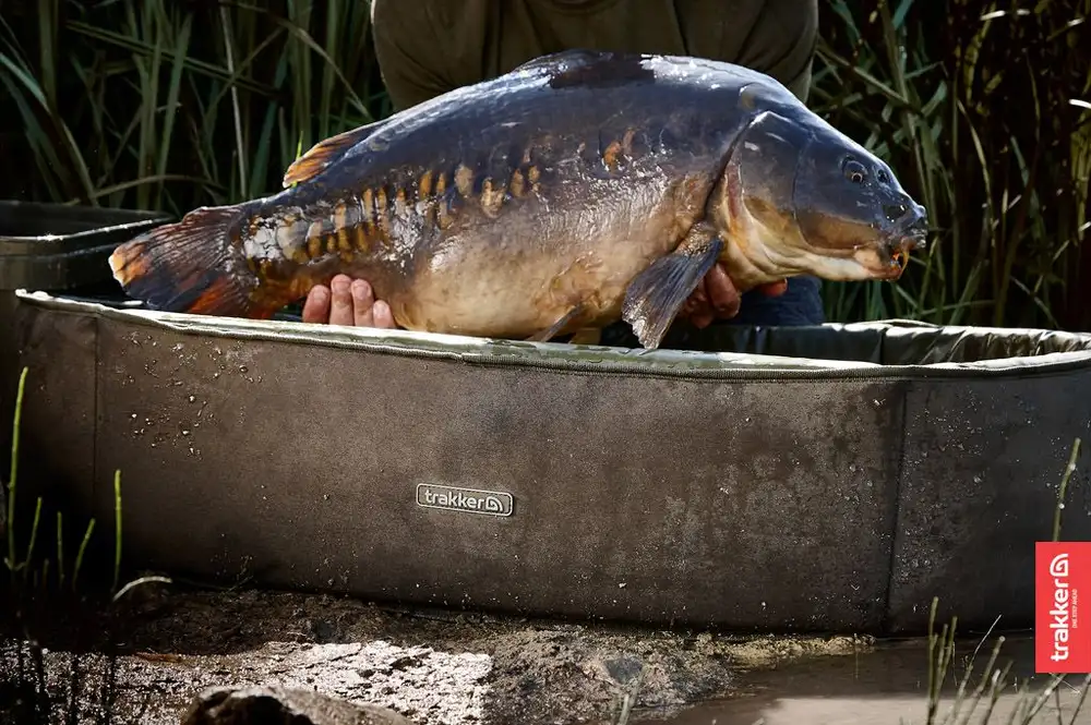 Trakker Sanctuary Compact Ovale Abhakmatte 4 Trakker Sanctuary Compact Ovale Abhakmatte – Bild 2