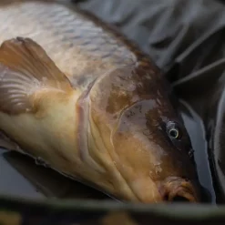 Trakker DPM Crib, Ovale Abhakmatte -Trakker Geschaft trakker dpm oval crib in use 5